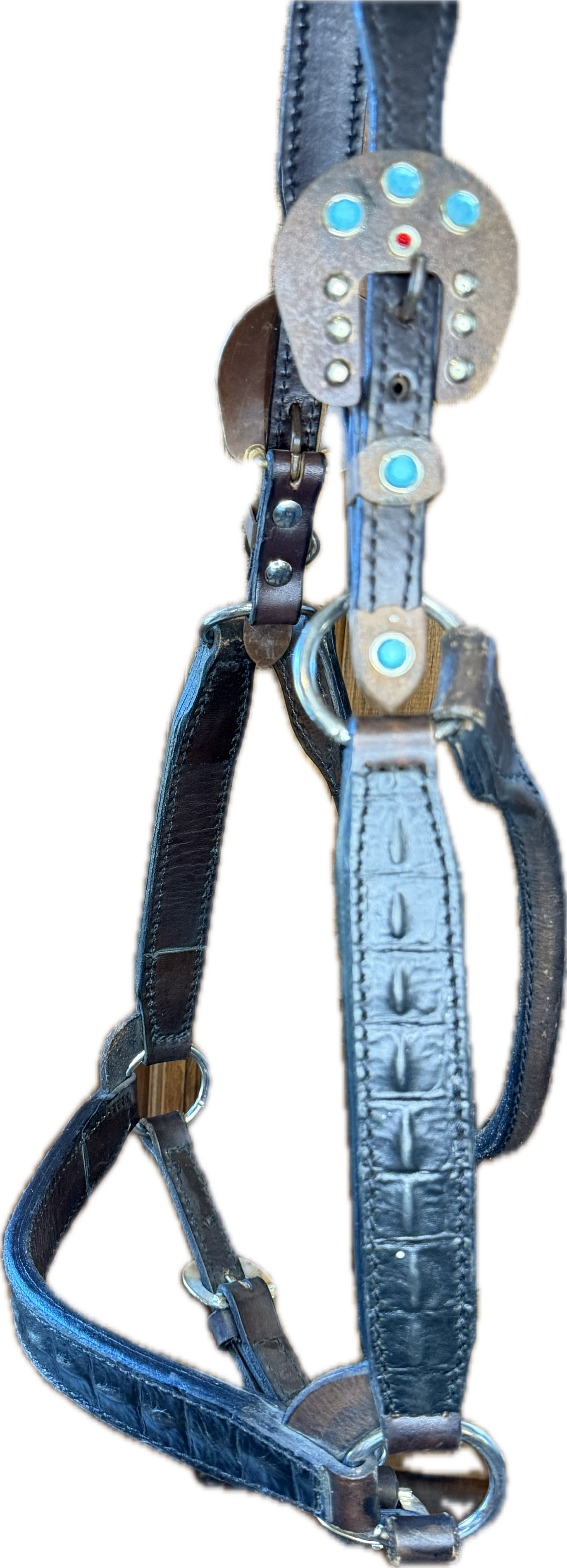 Horse sized ranch conformation show halter