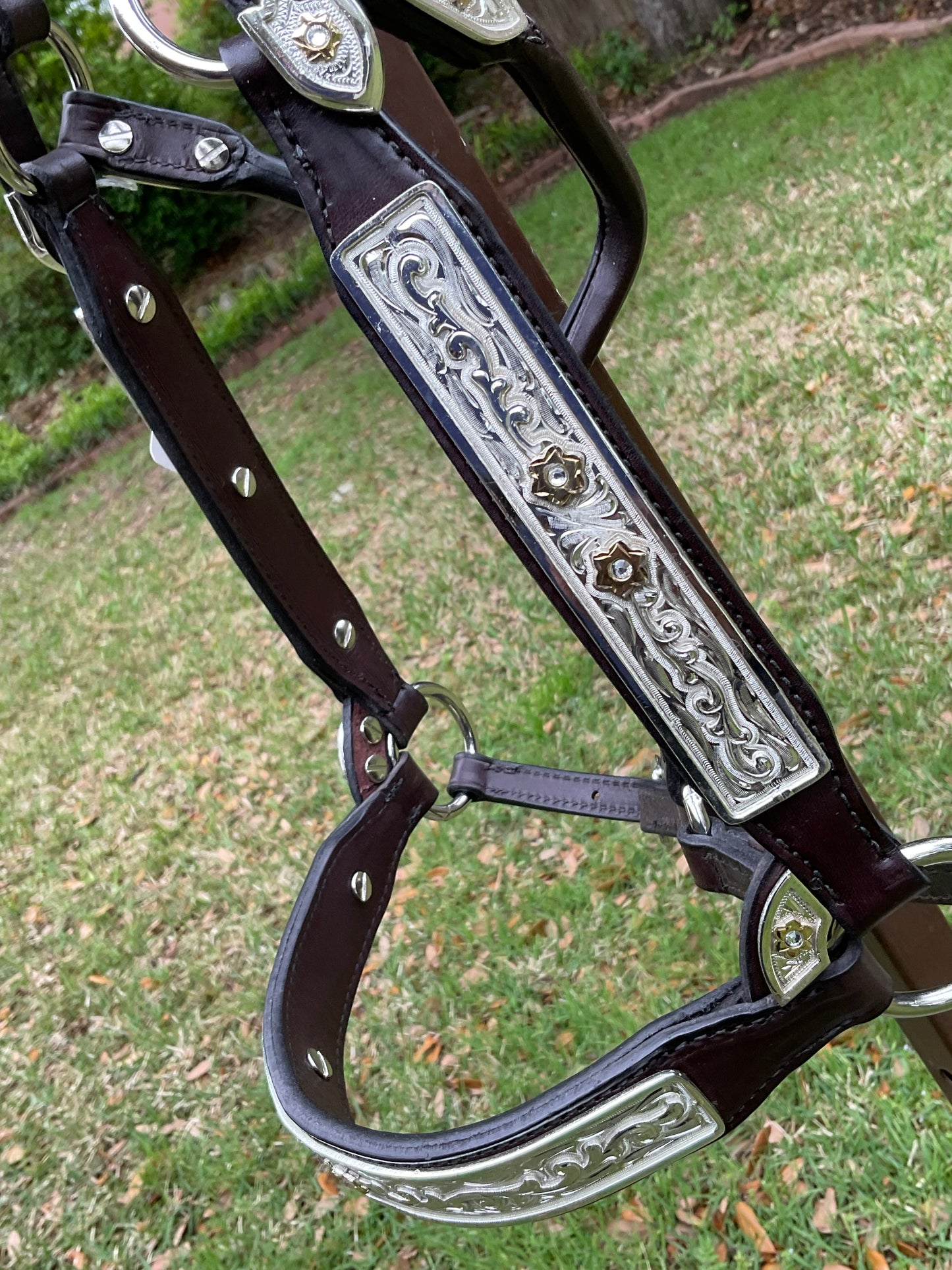 Mare sized show halter with clear stones Square Buckle