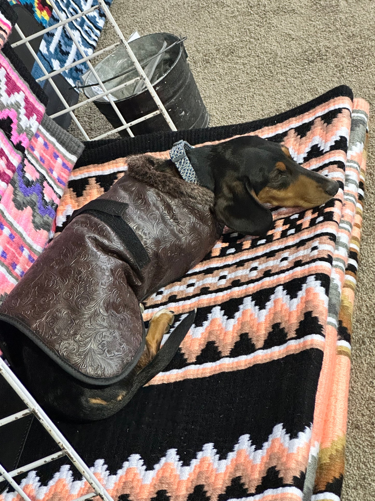 Faux Leather Dog Blankets