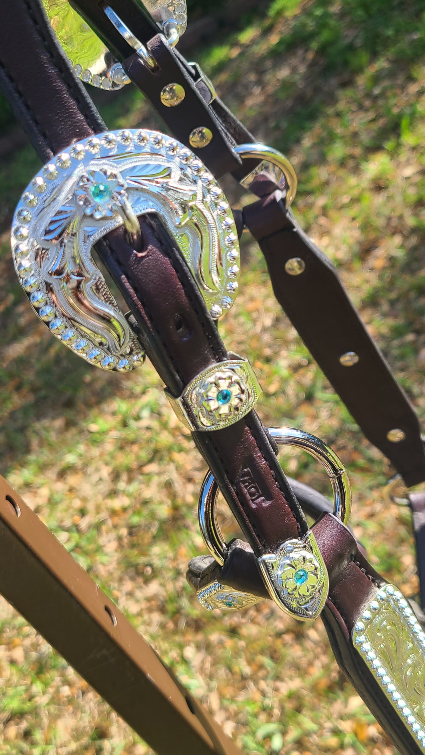 Horse sized show halter with light blue stones