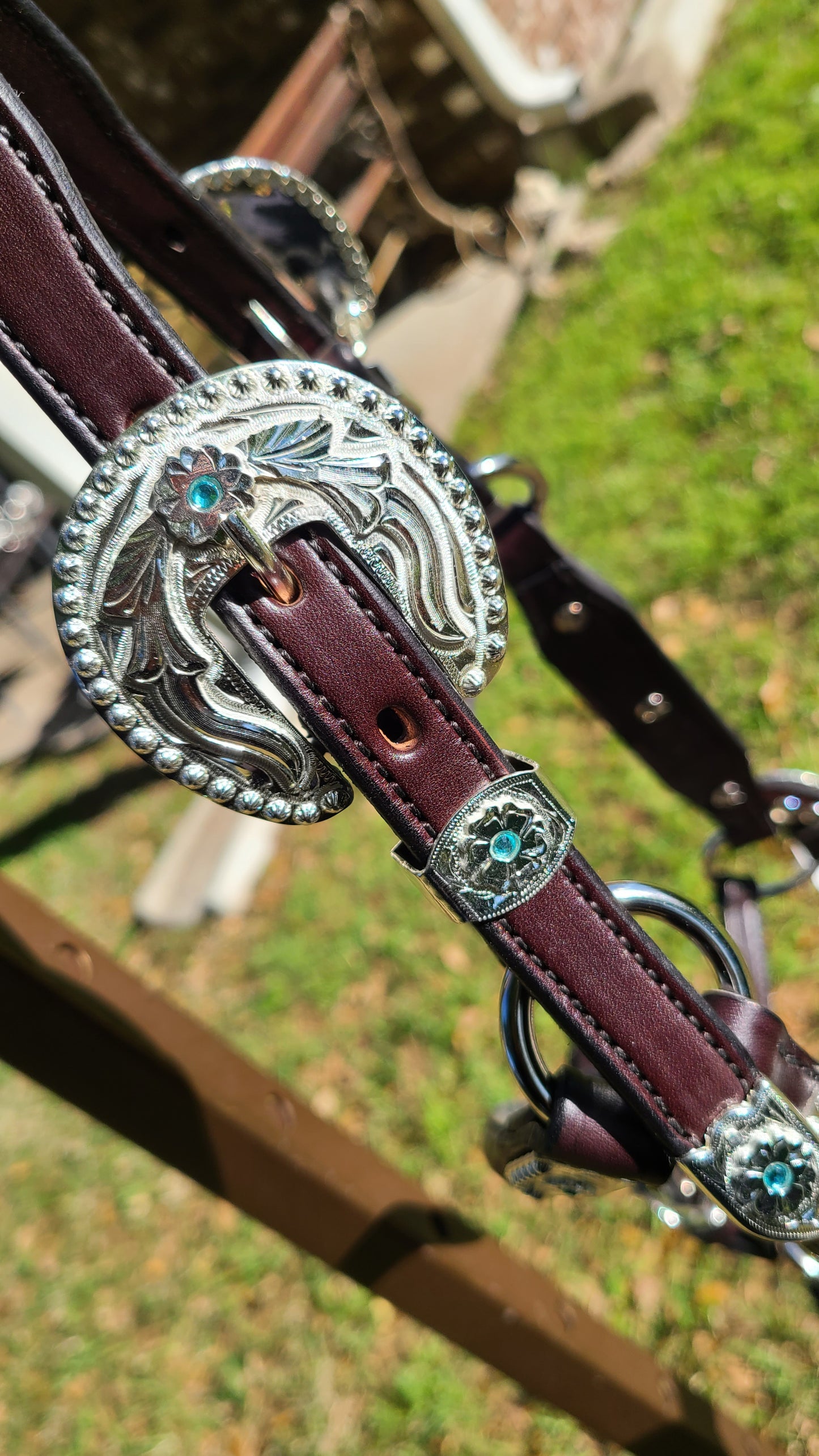Yearling size show halter with light blue stones