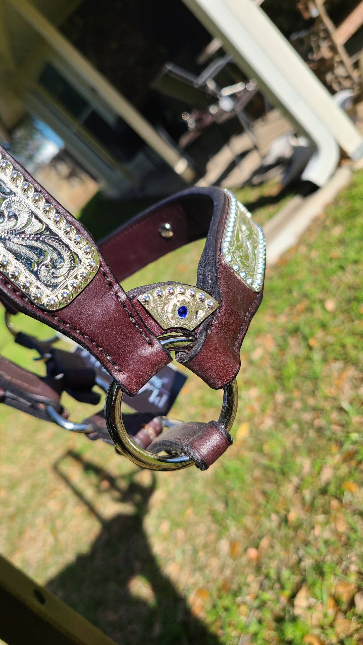 Horse Sized Show Halter with blue stones