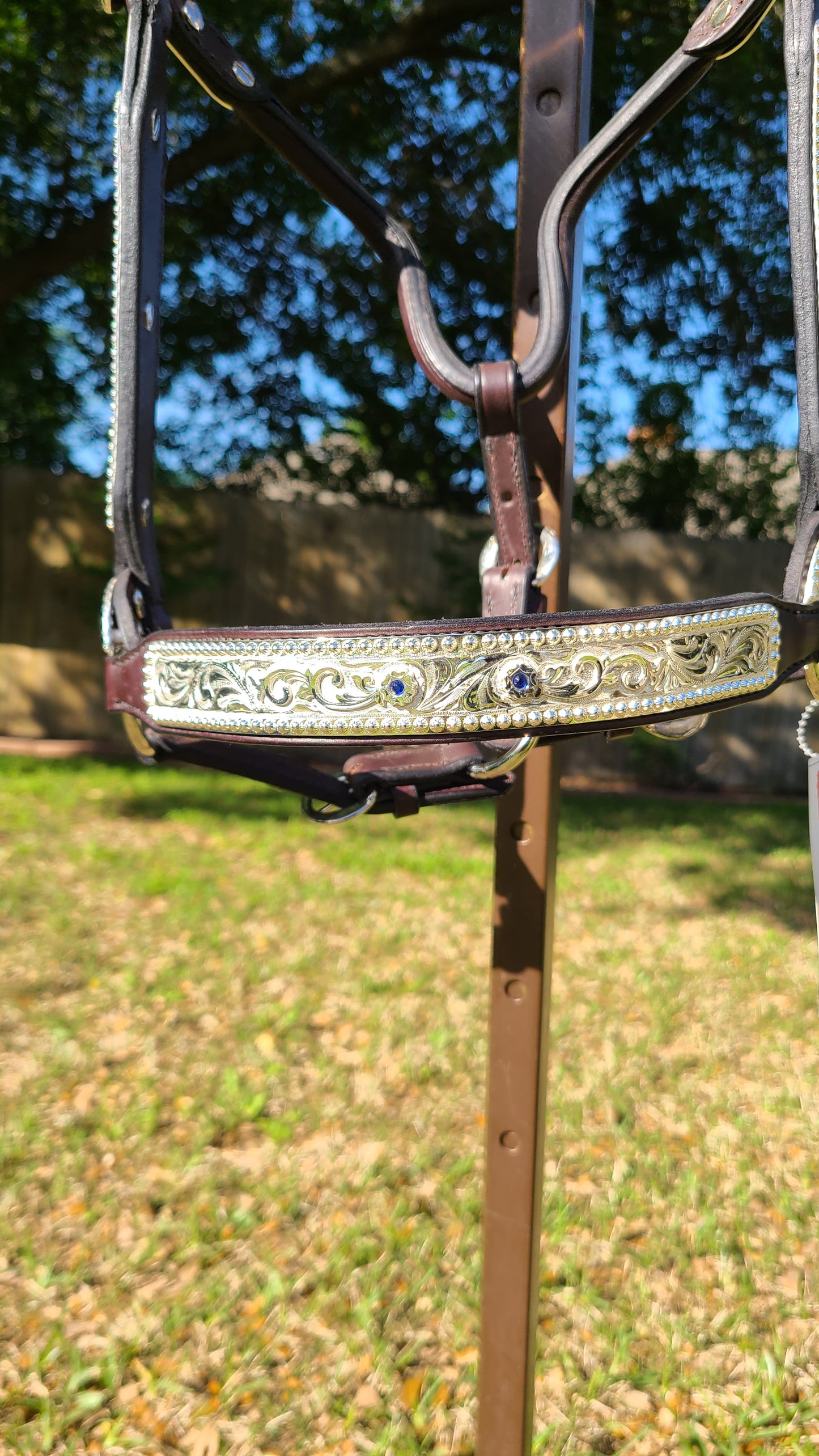 Horse Sized Show Halter with blue stones