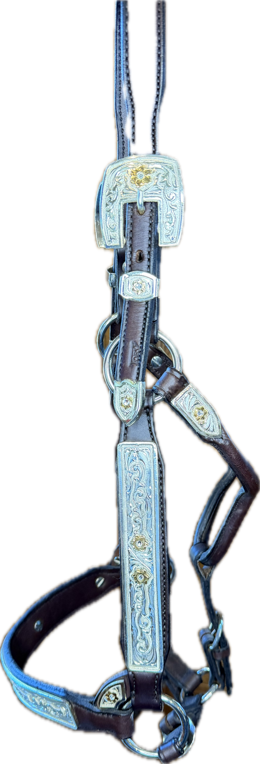 Horse sized show halter with clear stones Square Buckle