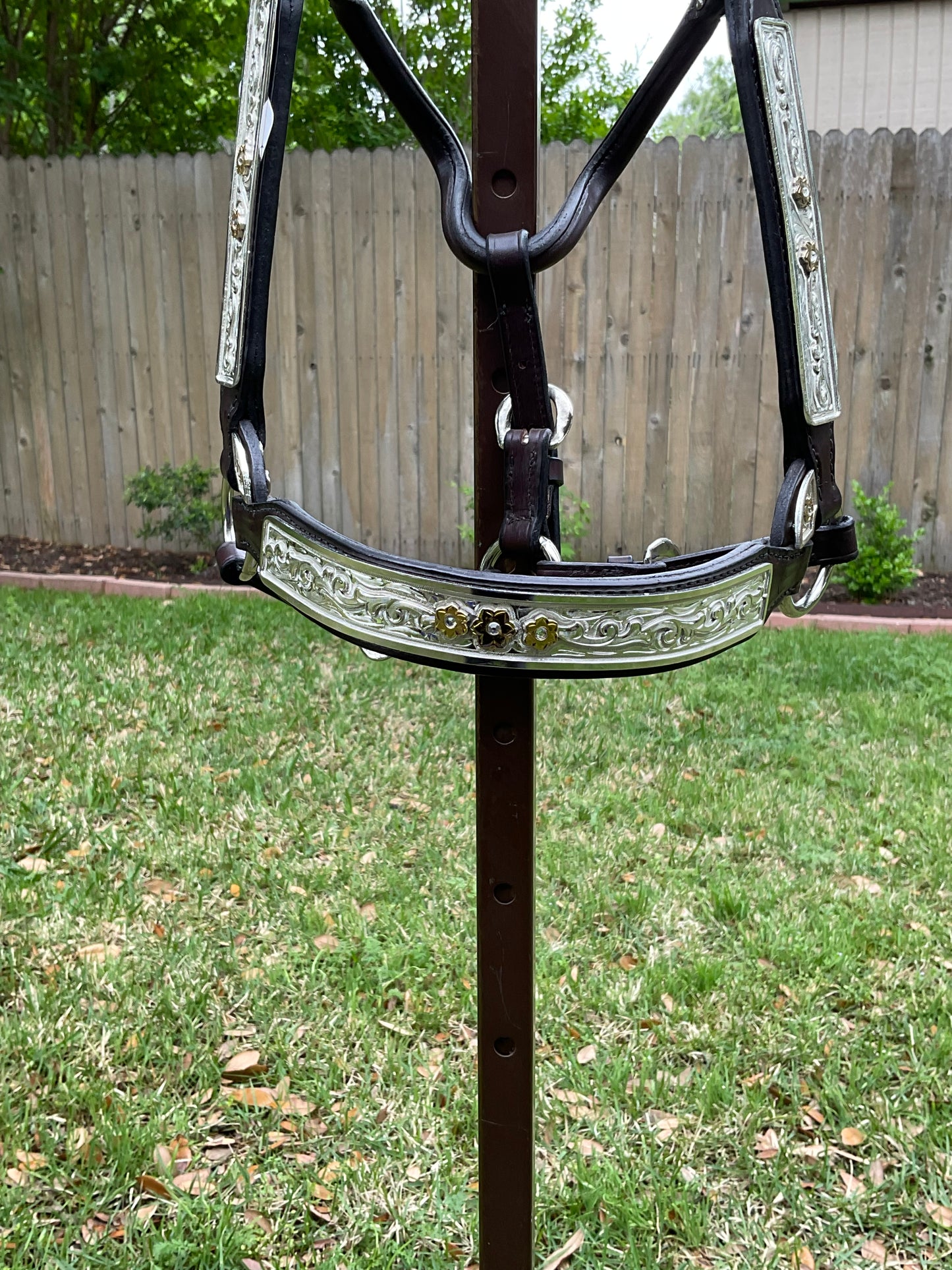 Mare sized show halter with clear stones Square Buckle
