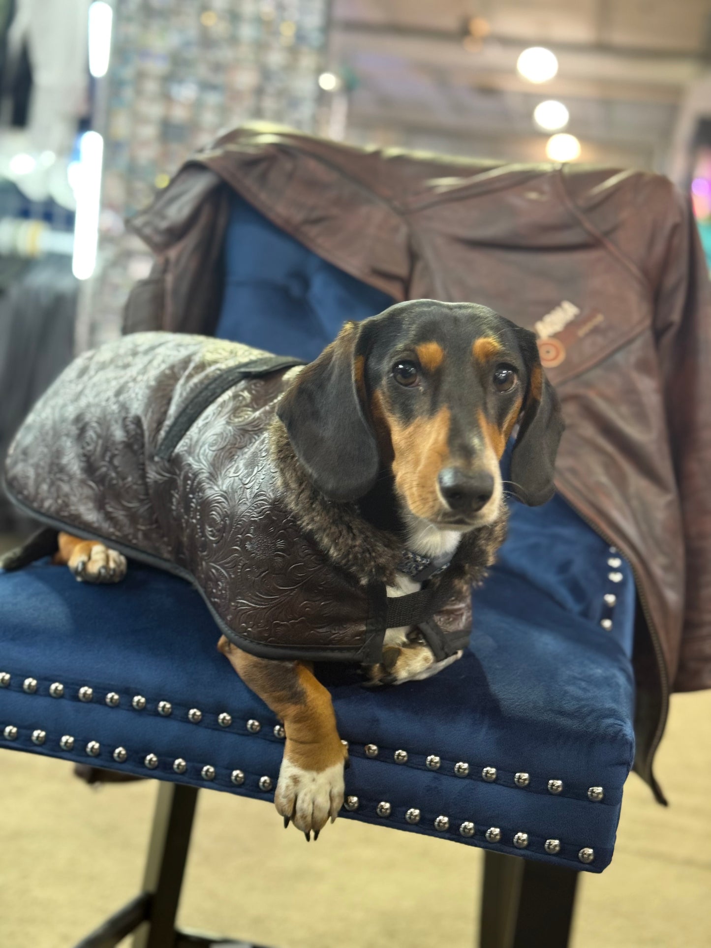 Faux Leather Dog Blankets
