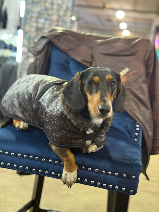 Faux Leather Dog Blankets