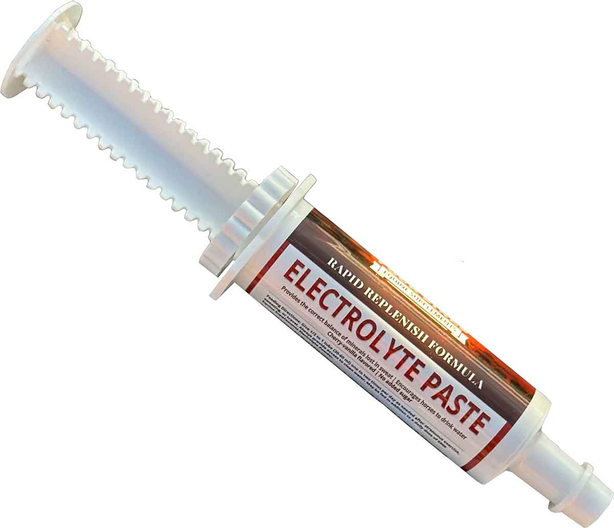 Equine Electrolyte Paste from Four Sixes
