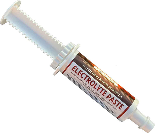 Equine Electrolyte Paste from Four Sixes