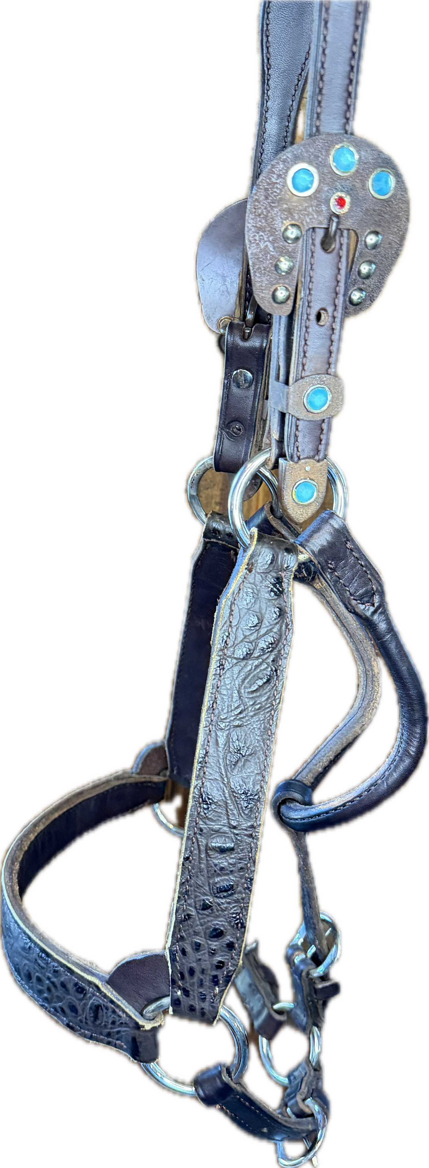 Horse sized ranch conformation show halter