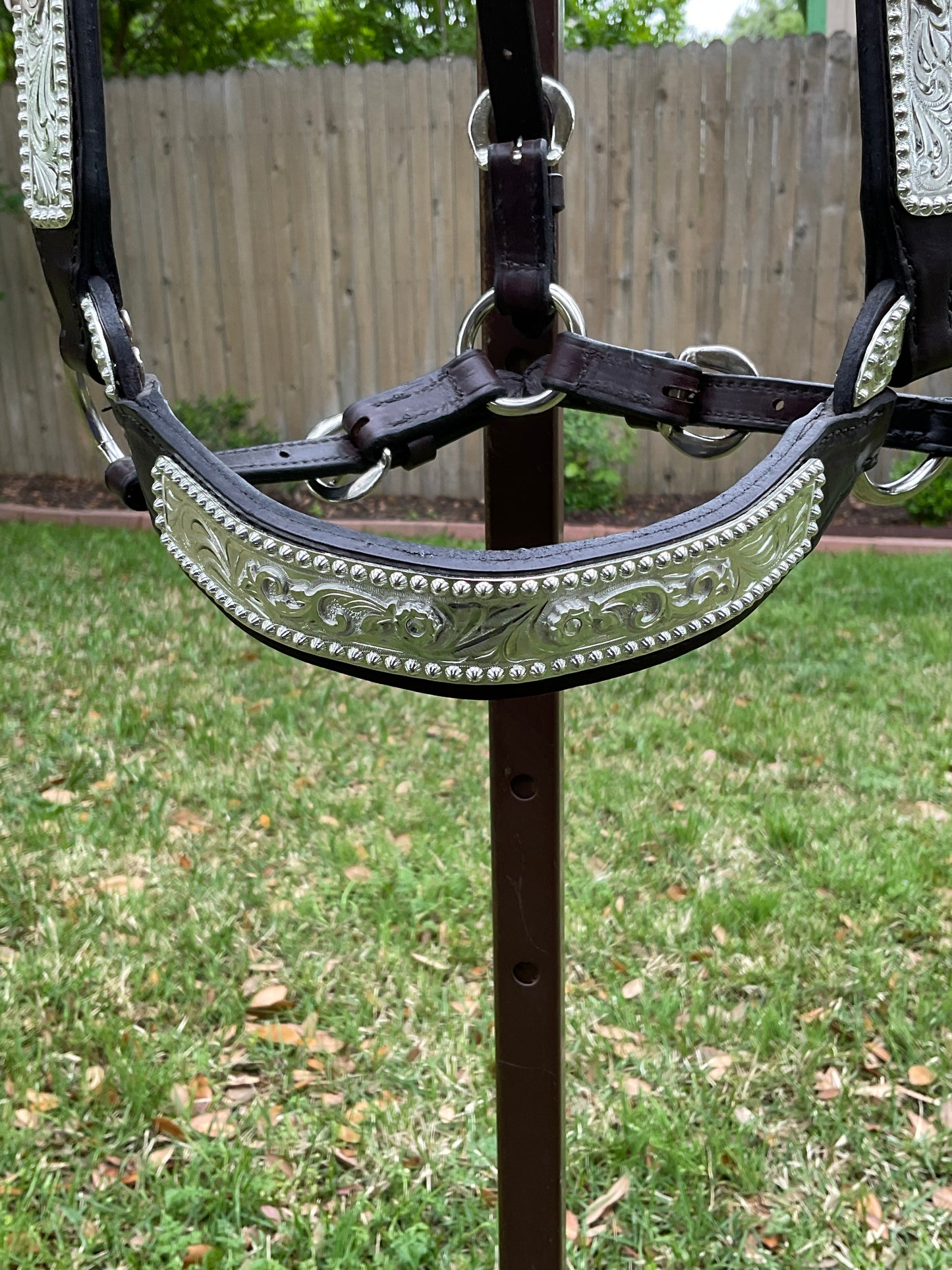 Mare sized show halter with clear stones Round Buckle