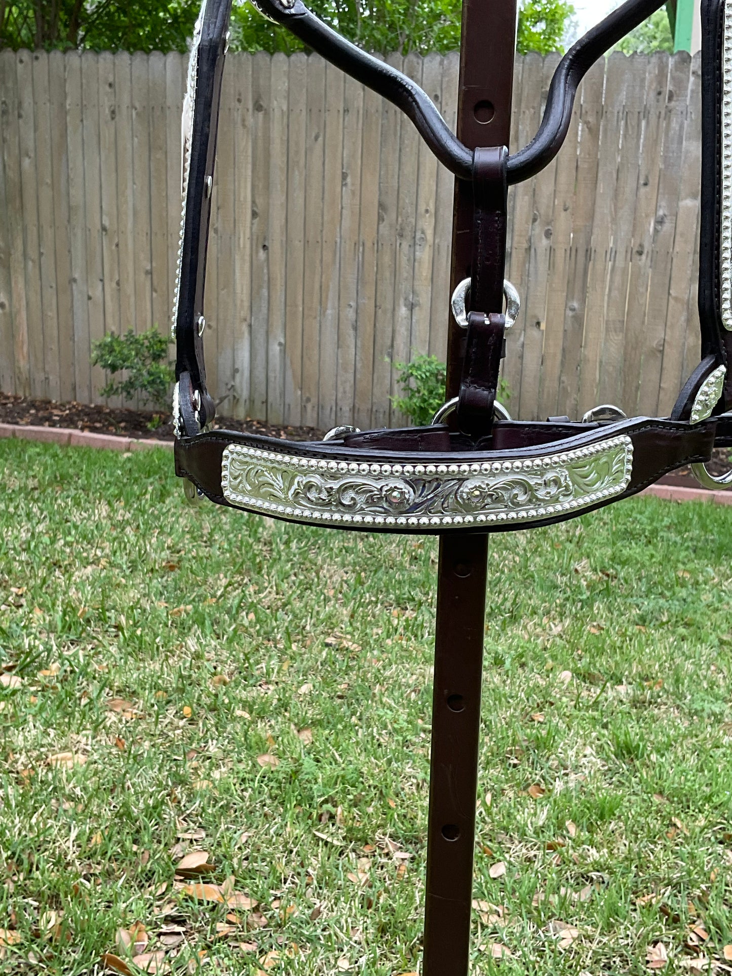 Mare sized show halter with Prism stones Round Buckle